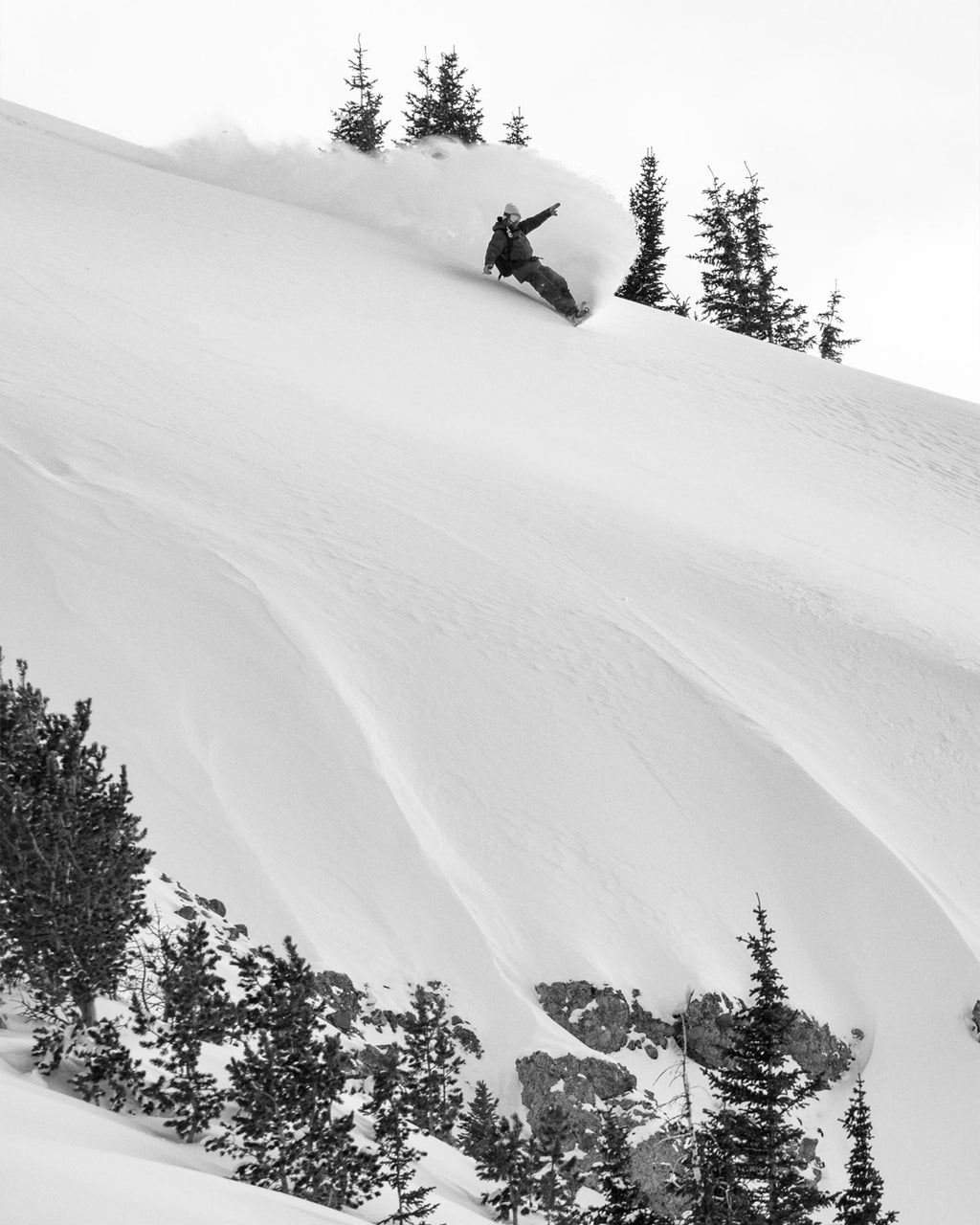 Lib Tech Orca Snowboard 2026