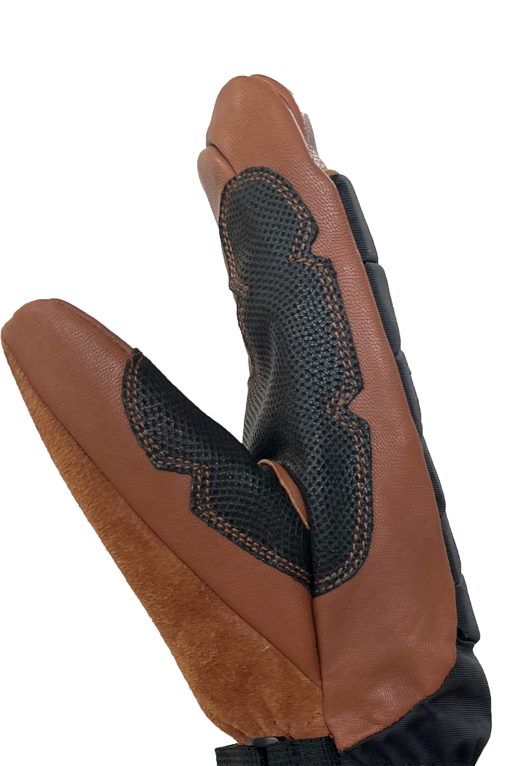 Auclair Alpha Beta 2025