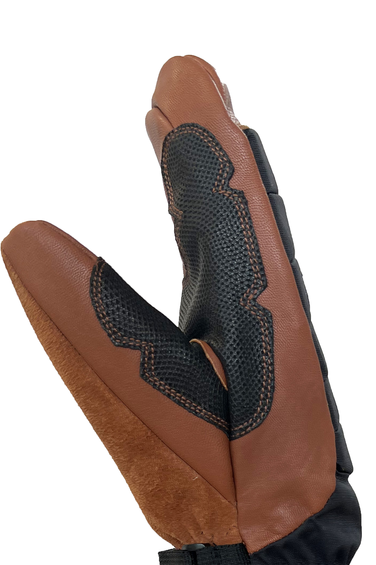 Auclair Alpha Beta 2025