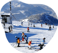 Edgie Wedgie ski connector