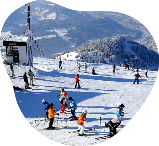 Edgie Wedgie ski connector