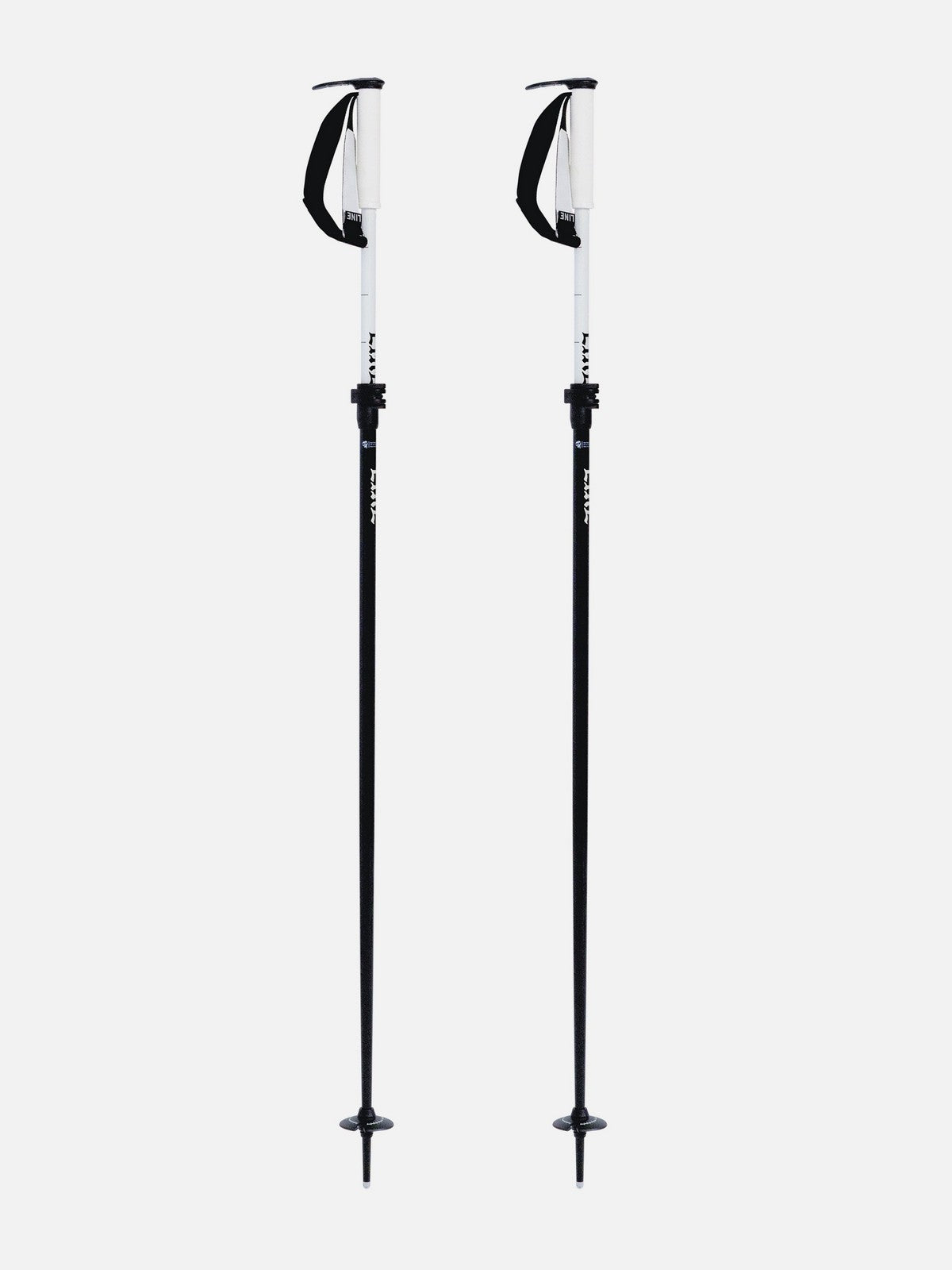 Line Paintbrush Ski Poles 2027