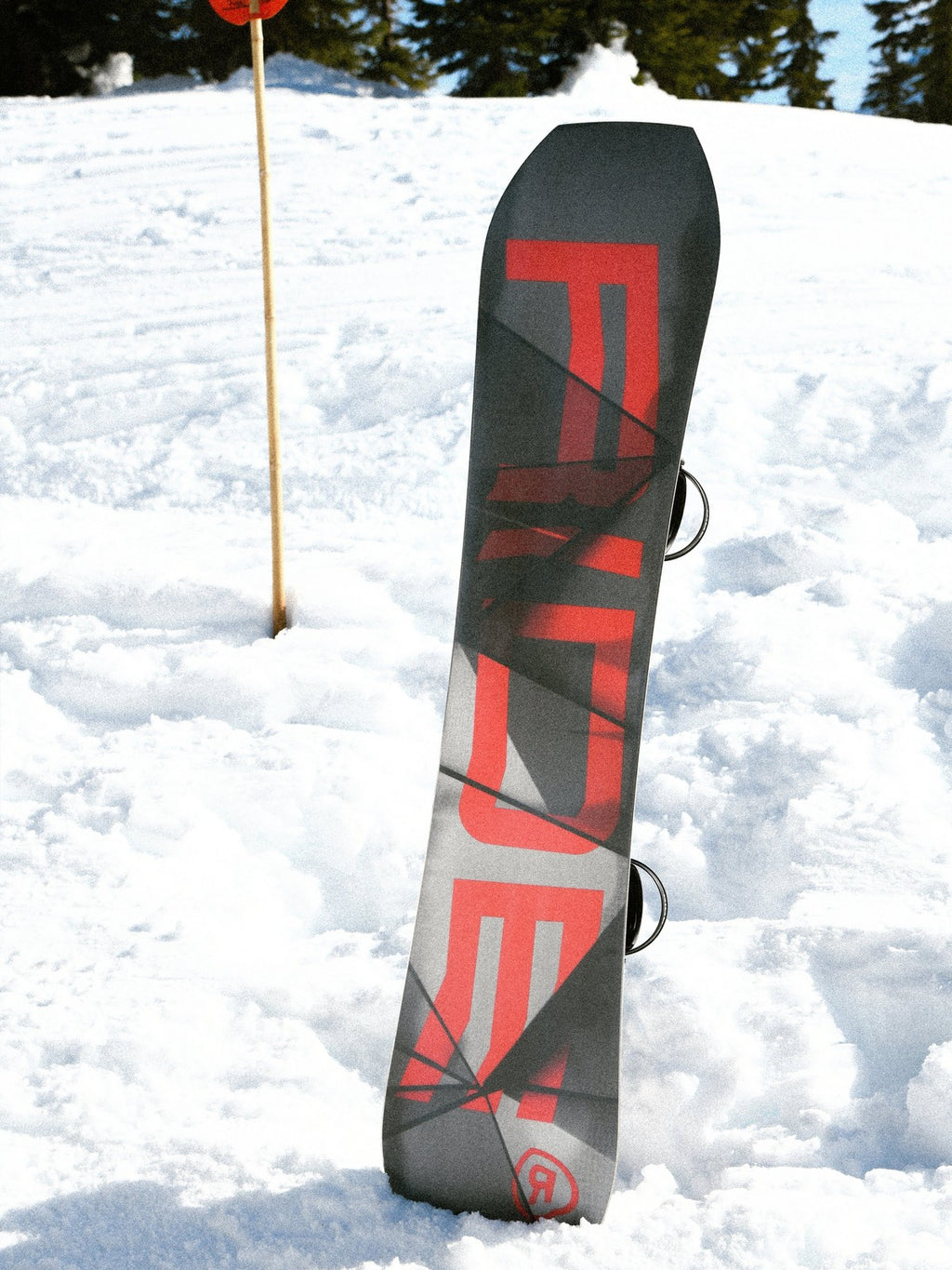 Ride TWINPIG Snowboard 2026