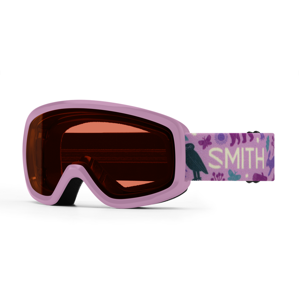 Smith Snowday Goggle