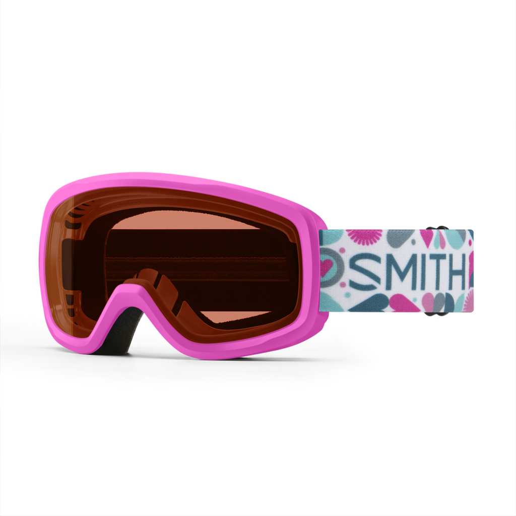 Smith Snowday Goggle