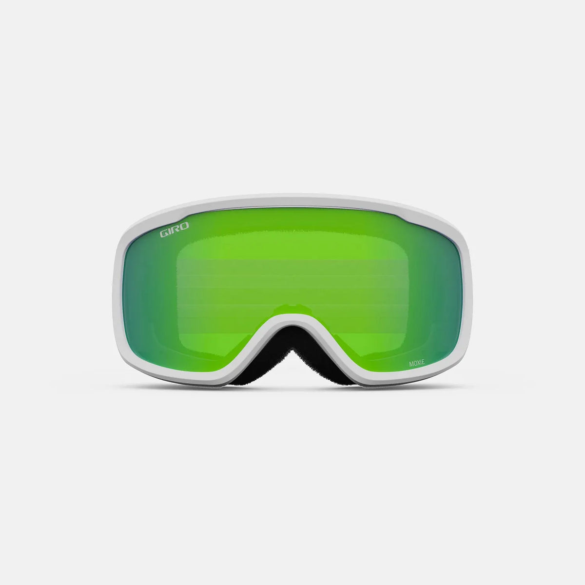 Giro Roam Goggle